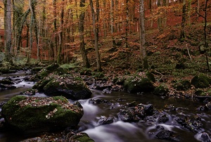 Herbst an der Alf