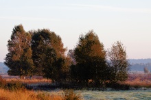 Kurz nach Sonnenaufgang im Moor