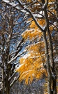 Zwischen Herbst und Winter