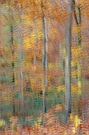 ~ Im Atelier Herbst ~