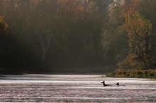 Der Herbst