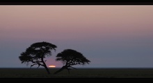 Sunrise in Etosha