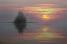 EBV Sonnenaufgang