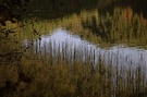 Neulich am Spitzingsee