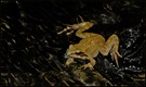 Springfrosch (?) ND