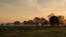 Weideland