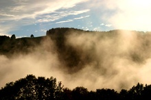 Gelber Nebel nach Sommerregen ND