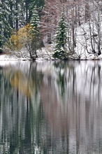 Wintereinbruch am Feldsee