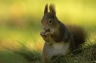 "Mahlzeit!"