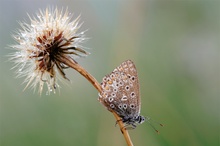 Herbstlich kühl...