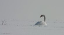 Der Winter kommt ! ...