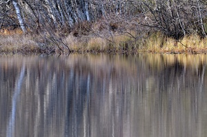 Mathisleweiher im Spätherbst