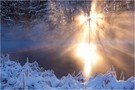 winterliches gegenlicht am weiher