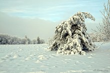 Rund um den Kreuzberg/Rhön