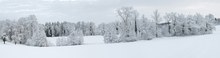 Panorama Winterlandschaft