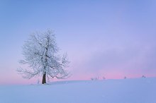 Winter im Erzgebirge