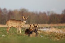 Ein paar warme Farben zwischendurch