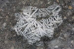 Strukturen im Eis einer gefrorenen Pfütze