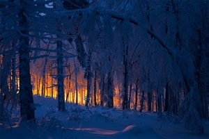 Der brennende Frankenwald