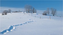 Spuren im Schnee