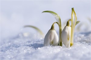 Wir kommen wieder !