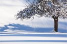 sprichwörtlicher schneefall