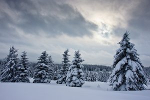 Advent im Erzgebirge