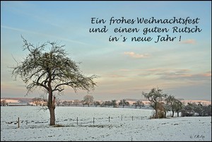 Weihnachtsgrüße