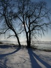 Elbe im Winter II