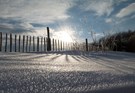 Schnee im Gegenlicht