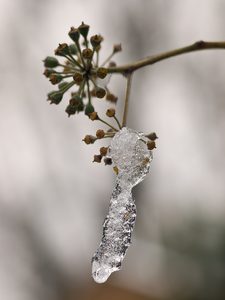 Eiszeit