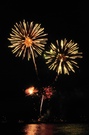 Lichtblume