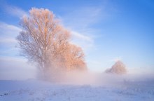 Ein eisiger Wintermorgen