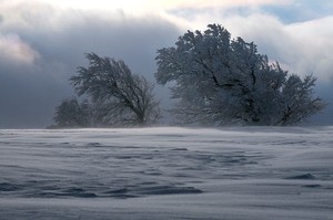 Sturm am Schauinsland