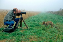 der Fuchs und ich