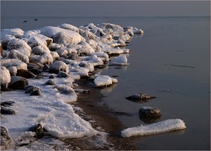 ~ Winter an der Ostsee IV ~