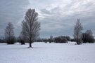 Vogelfreistelle Ammersee