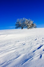 Blau - Weiß