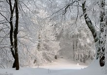 Wunderwintermärchen I...