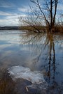 Am Jungfernweiher ...