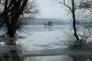 An der Oder