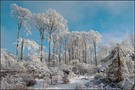 Winter am Albrechtsberg