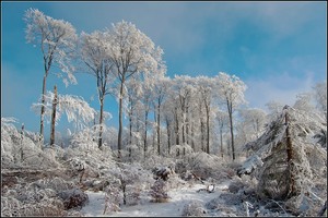 Winter am Albrechtsberg