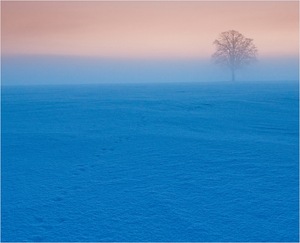 Orange-Blau