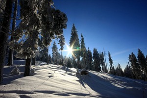 Sonne und Schnee unterwegs im Wintermärchenwald