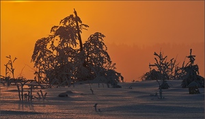 Schnee-Feuer