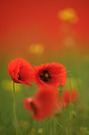 Farbe