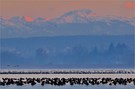 Winterabend vor der Reichenau