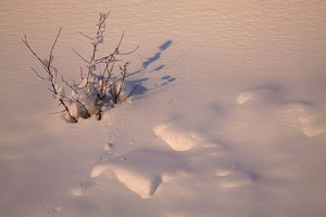 Kleine Winterlandschaft..