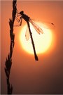 In der Morgensonne...